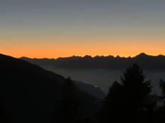 img_7077.jpeg img_7077.jpeg